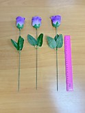 Цвет. Роза одиночная стебель 35см МП-24 (25)